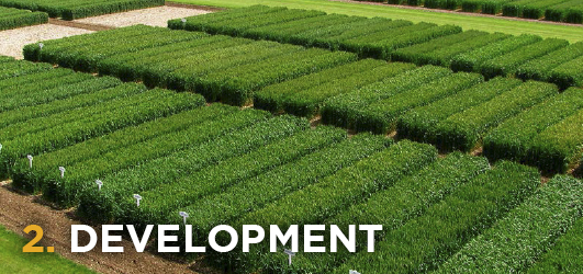 Crop-Production-3D-Thinking-Development