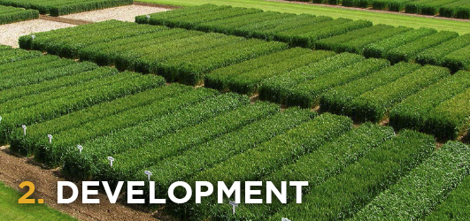 Crop-Production-3D-Thinking-Development