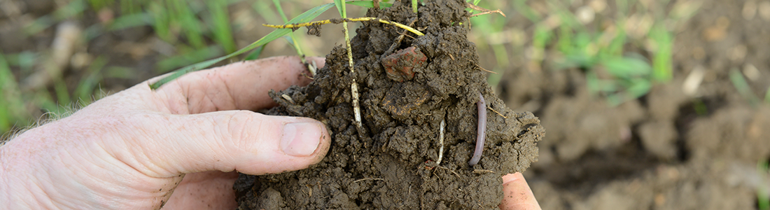 Soil header3