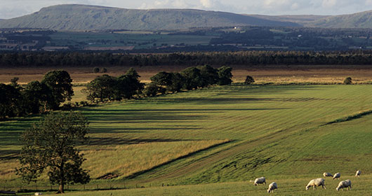 Crop-Production-Compliance Crop-Production-Compliance