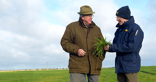 Crop-Production-Crop-Protection Crop-Production-Crop-Protection