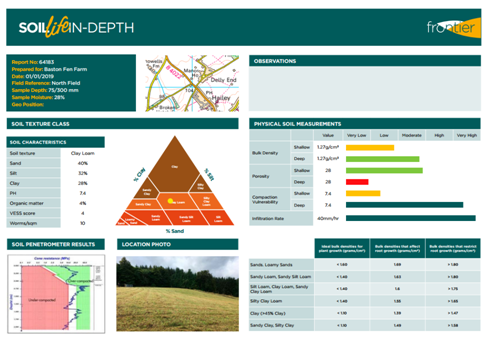 Soil Life In Depth