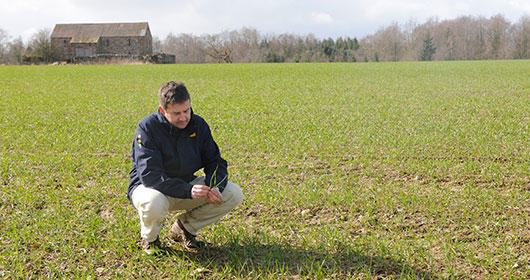 Crop-Production-Establishment Crop-Production-Establishment