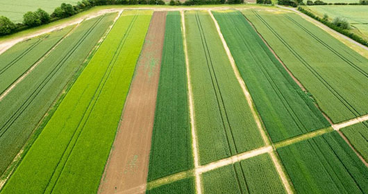 Crop-Production-Rotations Crop-Production-Rotations