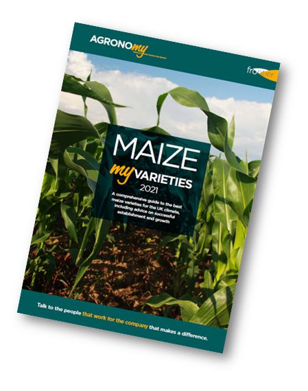 Maize cover