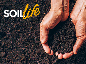 download soil life info