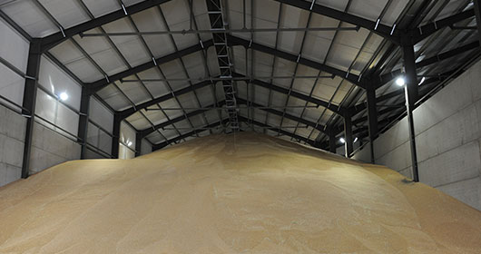 Crop-Production-Storage Crop-Production-Storage