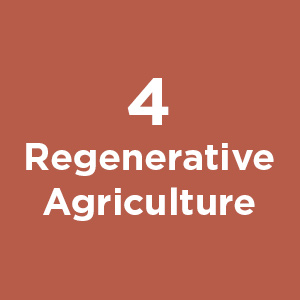 Regenerative Agriculture