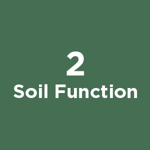 Soil Function