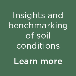 Soil Function