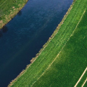water quality