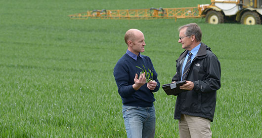 Crop-Production-Yield Crop-Production-Yield