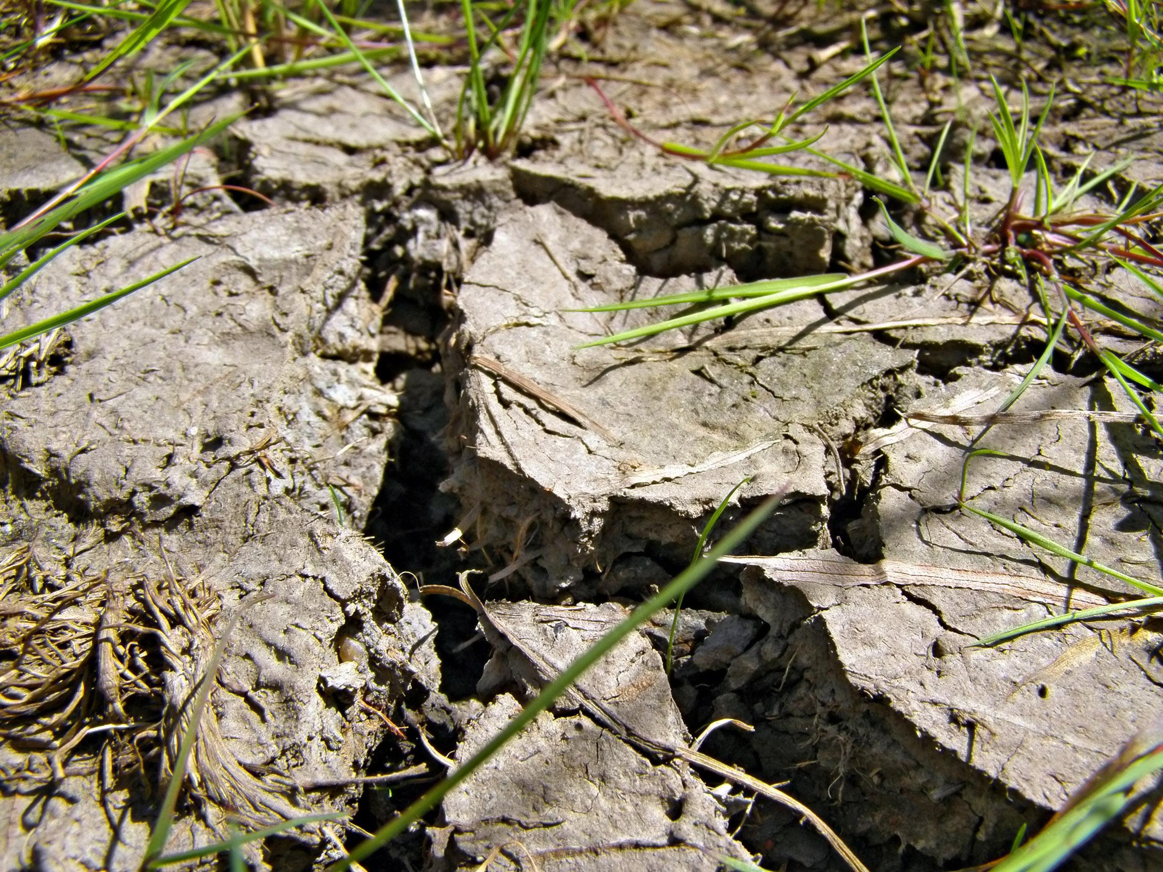 Quick base, новая система фундамента садовой комнаты. Почвенная корка. Бамага австралия. Окисление почвы. Ground conditions.