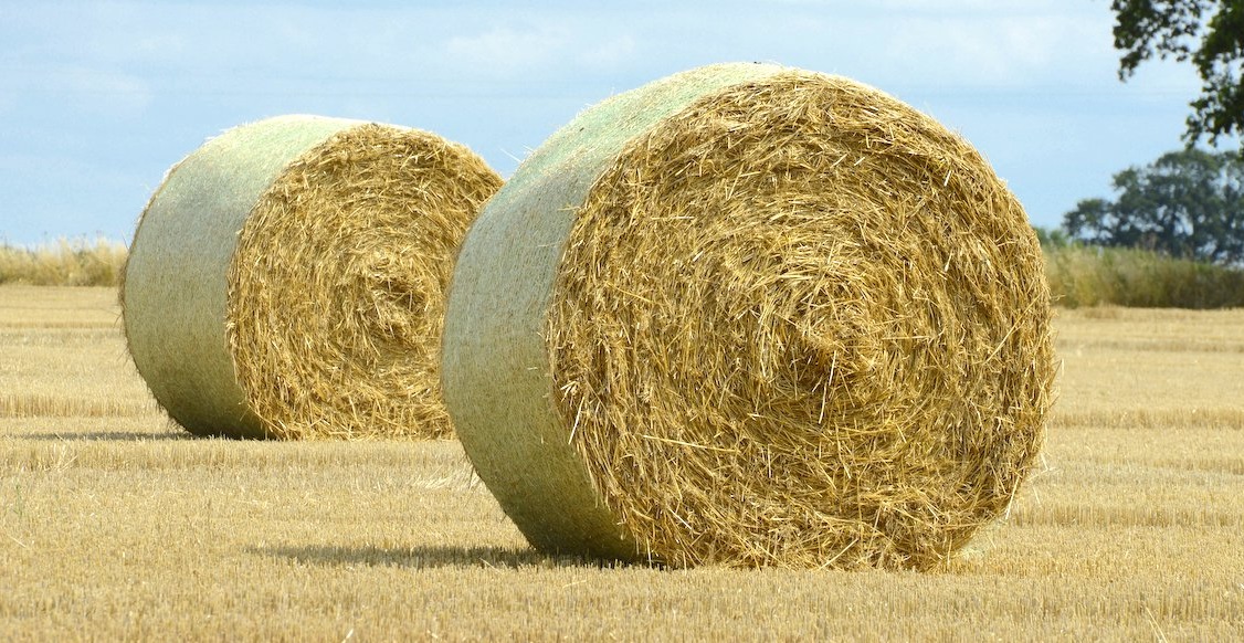 Removing straw calculating the cost of replacing lost nutrients