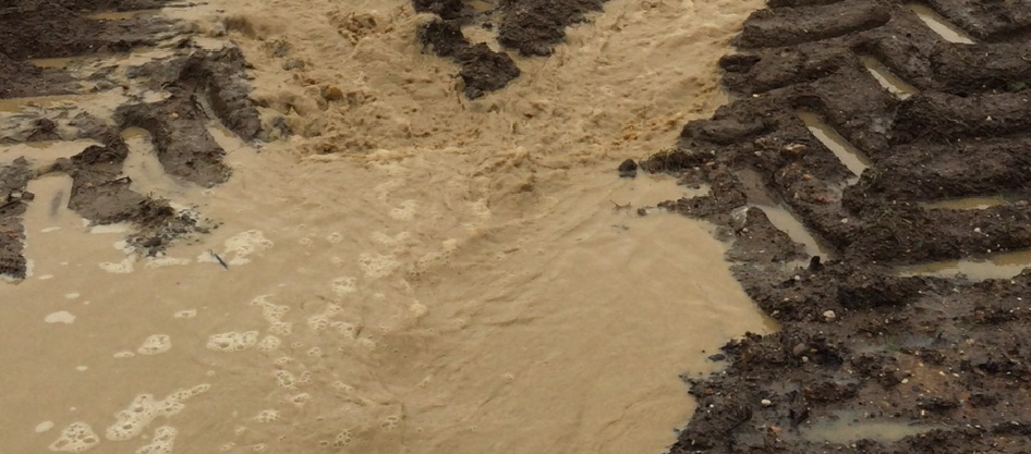 flooded-soils