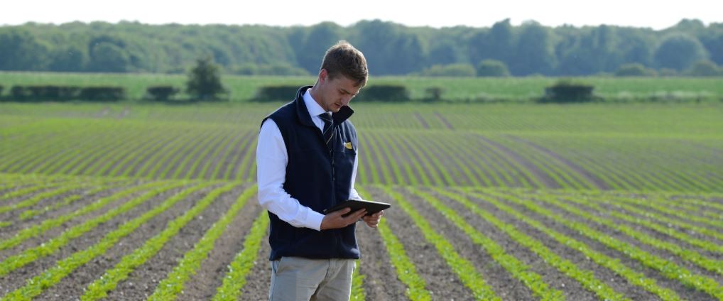 How did you start 2020? - Frontier Blog - Frontier Agriculture