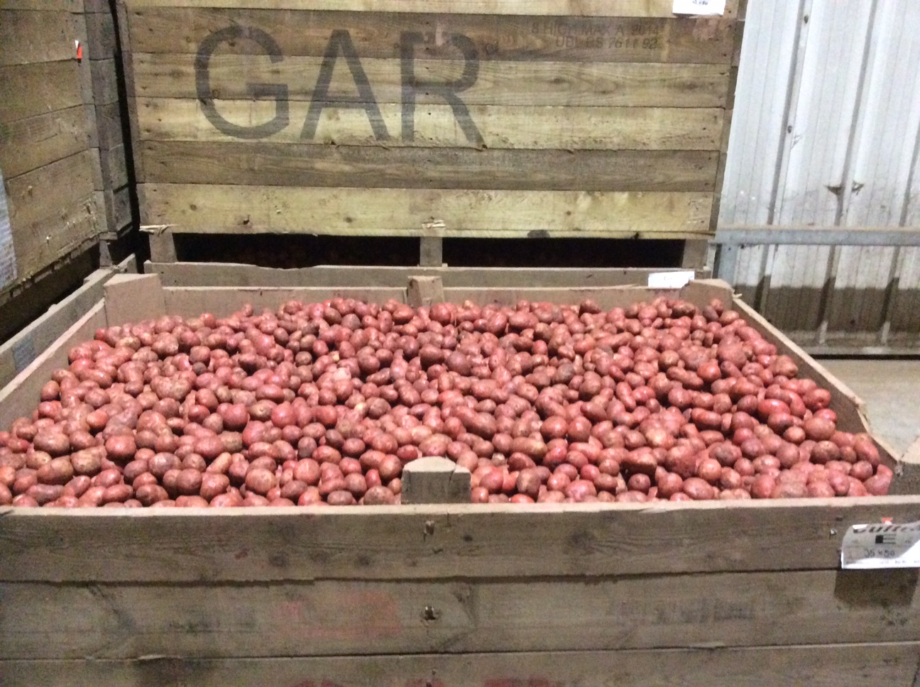 Changing times in potato seed treatments Frontier Blog Frontier