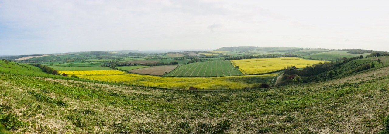 panoramic-landscape-view