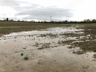Flooded-soil