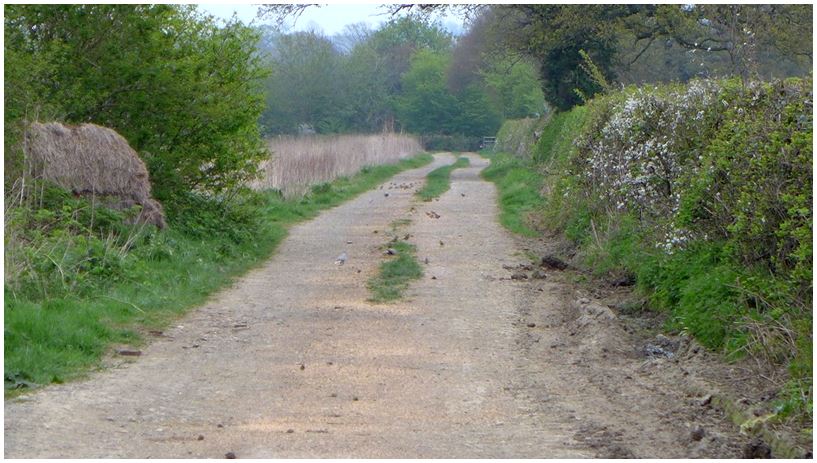 The Big Farmland Bird Count - Frontier Blog - Frontier Agriculture
