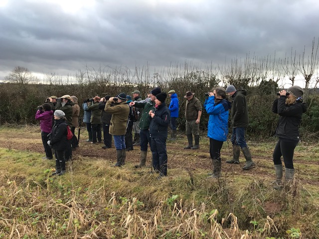 The Big Farmland Bird Count - Frontier Blog - Frontier Agriculture