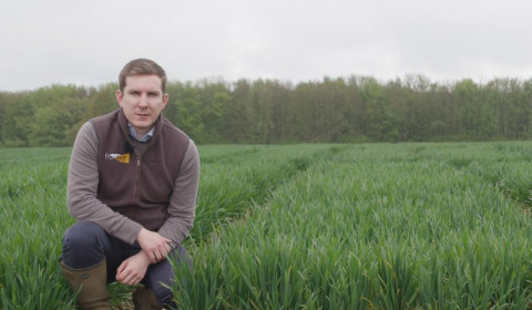 The Recommended List: New wheat varieties will broaden options for 2024