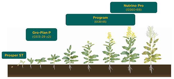 Maximising your winter crops' potential with biostimulants - Frontier ...