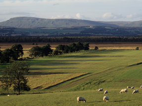 Crop-Production-Compliance