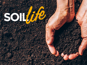 Soil Life CP Grid