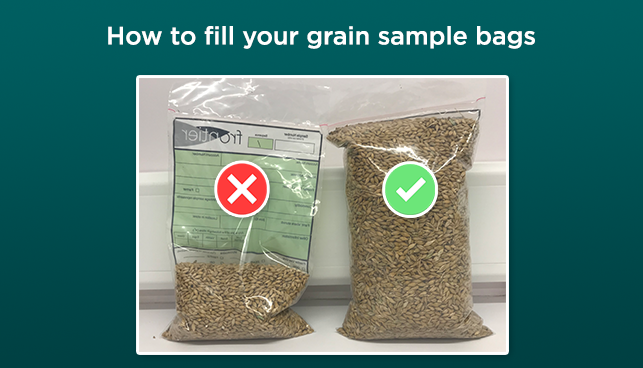 How to fill grain bags 1