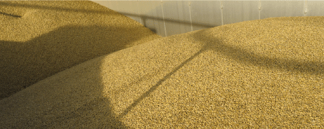 Grain-Marketing Grain-Marketing